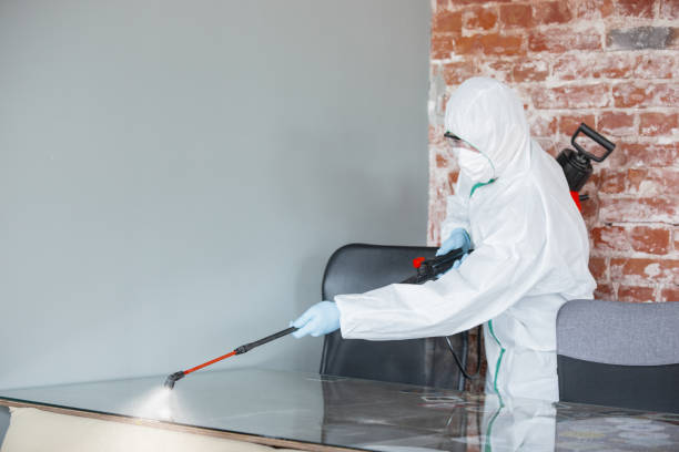 Best Biohazard Mold Removal in Rockdale, TX