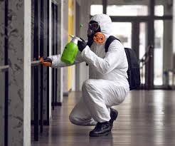 Best Mold Odor Removal Services in Rockdale, TX